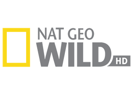 National Geographic Wild Yayın Akışı